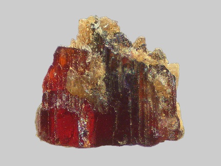 Rutile - La Burande - Singles - Tauves - Puy-de-Dôme - FP - Taille 1,2mm