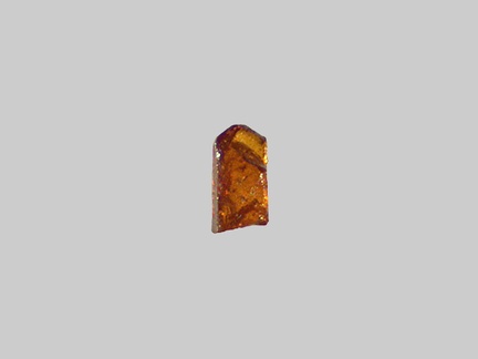 Rutile - La Loire - Gien - Loiret - FP - Taille 0,25 mm