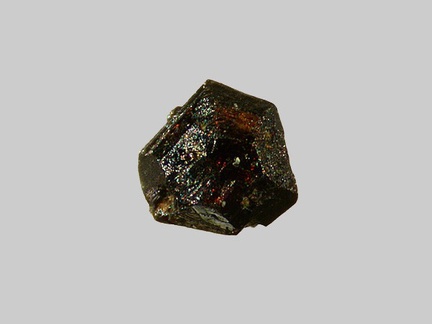Rutile - Ruisseau de la Bouloterie - Caden - Morbihan - FP - Taille 1mm
