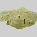 Scheelite - Ruisseau de l' Etang Cossay - La Prole - Avril-sur-Loire - Nièvre - FP - Taille 2mm