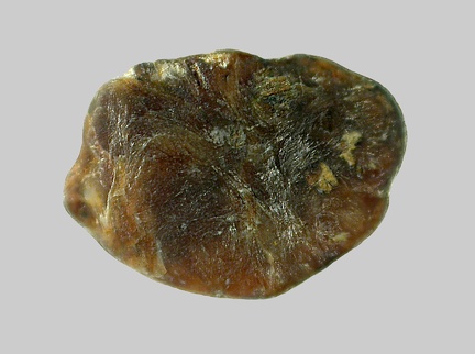 Sillimanite - L' Allier - Neuvy - Allier - FP - Taille 3.2mm