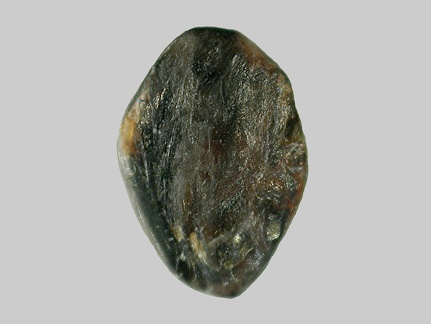 Sillimanite - L' Allier - Neuvy - Allier - FP - Taille 3.5mm