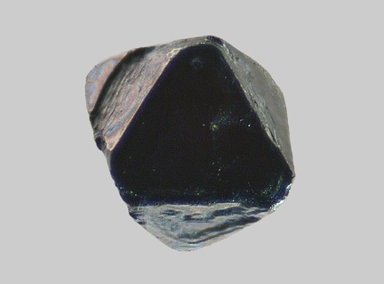 Spinelle - Le Sioulot - Olby - Puy-de-Dôme - FP - Taille 0,9mm