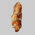 Staurolite - La Mortagne - La Guinguette - Tauves - Puy-de-Dôme - FP - Taille 2mm
