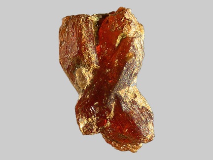 Staurolite - Ruisseau de Kerbihan - Scaër - Finistère - FP - Taille 1,7mm