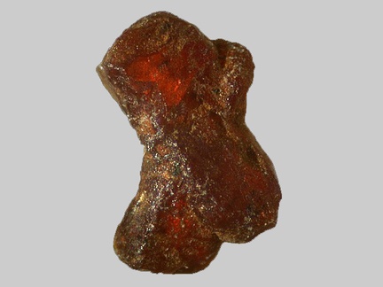 Staurolite - Ruisseau de Kerbihan - Scaër - Finistère - FP - Taille 1,7mm