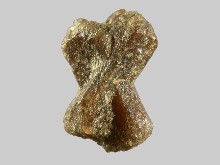 Staurolite - Ruisseau Langelin - Landudal - Finistère - FP - Taille 4mm