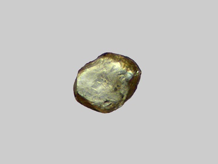Titanite - Le Rhin - Kembs - Haut-Rhin - FP - Taille 0,3mm