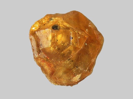 Titanite - Ruisseau de Chevalard - Vernines - Puy-de-Dôme - FP - Taille 1mm
