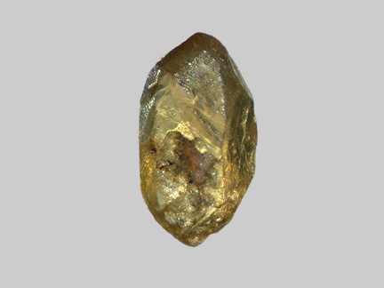 Xénotime - Ruisseau de Caule - Saint-Ilpize - Haute-Loire - FP - Taille 1mm