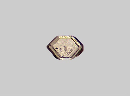 Zircon - Gave de Pau - Saint-Pé-de-Bigorre - Hautes-Pyrénées - FP - Taille 0,25mm