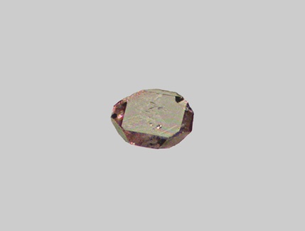 Zircon - Gave de Pau - Saint-Pé-de-Bigorre - Hautes-Pyrénées - FP - Taille 0,25mm