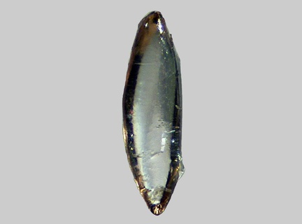 Zircon - Ruisseau de Fondain - Laqueuille - Puy-de-Dôme - FP - Taille 0.8mm