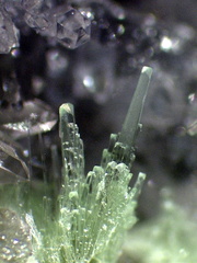 Minuylite  -  La Floquerie  - Pannecé - Loire-Atlantique