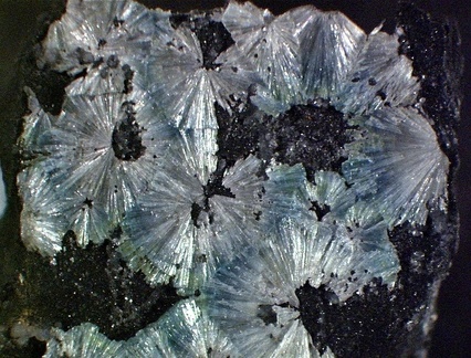 Wavellite -  La Floquerie  - Pannecé - Loire-Atlantique
