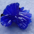 Linarite -  La Fonderie -  Poullaouen -  Finistère
