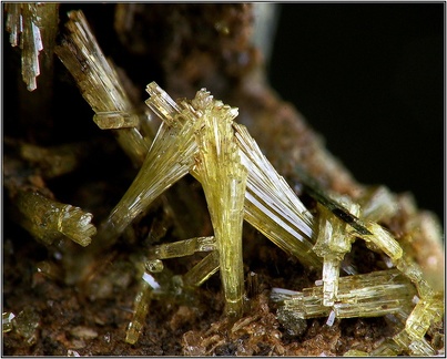 Epidote - Les Graves - Cassagne - Haute-Garonne