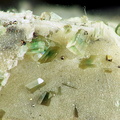 Leuchtenbergite - Les Graves- Cassagne - Haute-Garonne