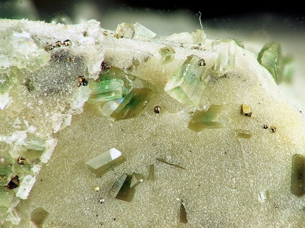 Leuchtenbergite - Les Graves- Cassagne - Haute-Garonne