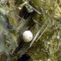  Kaolinite - Les Graves- Cassagne - Haute-Garonne