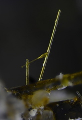 Esseneite - Lapanouse de Sévérac - Aveyron