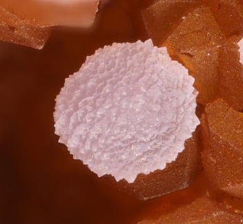 Variscite - Fumade - Castelnau de Brassac - Fontrieu - Castres - Tarn
