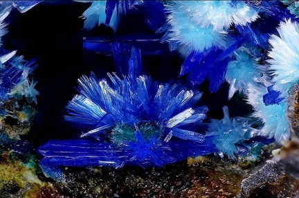 Linarite - La Fonderie - Poullaouen - Finistère
