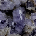 Apatite - Tréguennec - Finistère