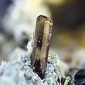 Tourmaline -  Landuda - Finistère