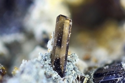 Tourmaline -  Landuda - Finistère
