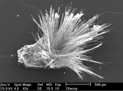 Zalesiite Agardite - Chessy-les-Mines - Rhône