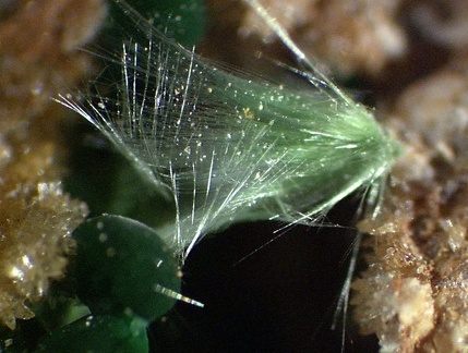 Zalesiite Agardite - Chessy-les-Mines - Rhône