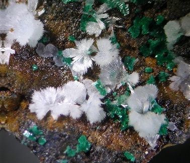 Aragonite Brochantite -  - Mine d'Arrigas - Arrigas -  Le Vigan - Gard
