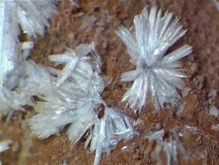 Ettringite -Boisséjour - Ceyrat - Clermont-Ferrand  - Puy-de-Dôme