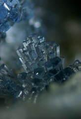 Wavellite - La Floquerie - Pannecé - Loire-Atlantique