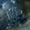 Wavellite - La Floquerie - Pannecé - Loire-Atlantique