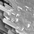 Deliensite Copiapite - L'Ecarpière - Gétignié - Loire-Atlantique