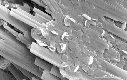 Deliensite Copiapite - L'Ecarpière - Gétignié - Loire-Atlantique