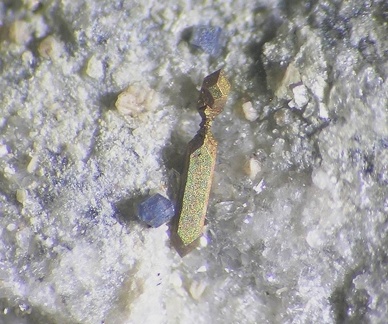 Pyrite Anatase - Carrière Buffin - Ampuis - Rhône