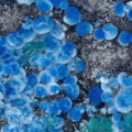 Connellite - Cap Garonne - Le Pradet - Var