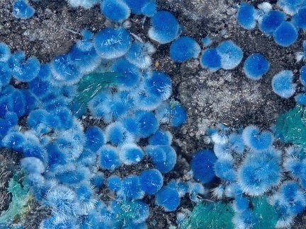 Connellite - Cap Garonne - Le Pradet - Var