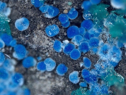 Connellite - Cap Garonne - Le Pradet - Var
