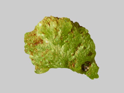Pyromorphite - Gardon de St-Jean - St-André-de-Valborgne - Gard - FP - Taille 1.3mm