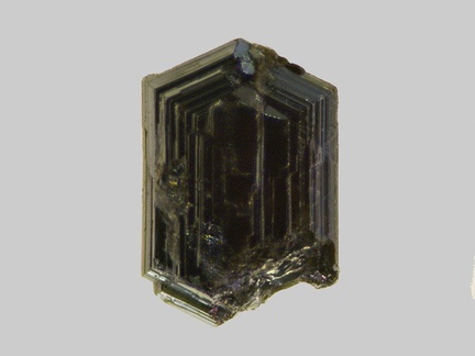 Rutile - Gardon de St-Jean - St-André-de-Valborgne - Gard - FP - Taille 0,9mm