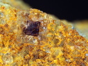 Fluorite - St Julien Molin-Molette - Loire
