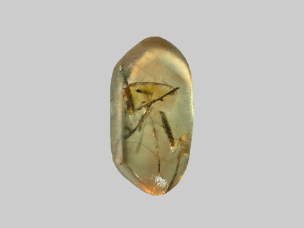Zircon - Riou des Brus - Espaly-Saint-Marcel - Haute-Loire - FP - Taille 1.7mm