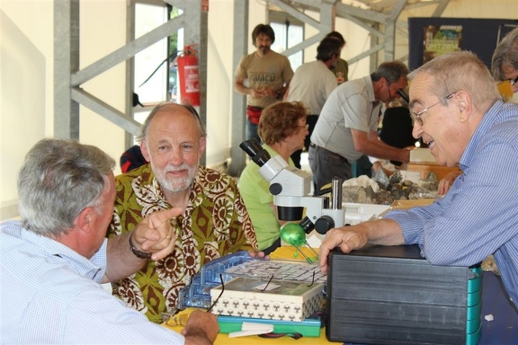 AFM - Rhône-Alpes à la bourse  de Tavagnasco (TO)