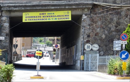 AFM - Rhône-Alpes à la bourse  de Tavagnasco (TO)