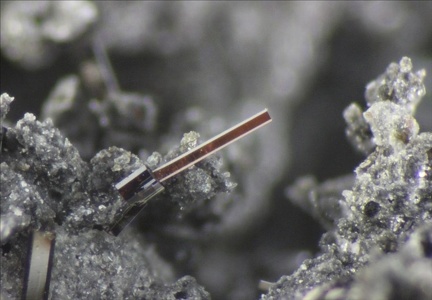 Pseudobrookite - carrière de Bizac - Haute Loire