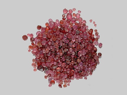 Grenat - Le Rhin - Kembs - Haut-Rhin - FP - Taille moyenne 2mm